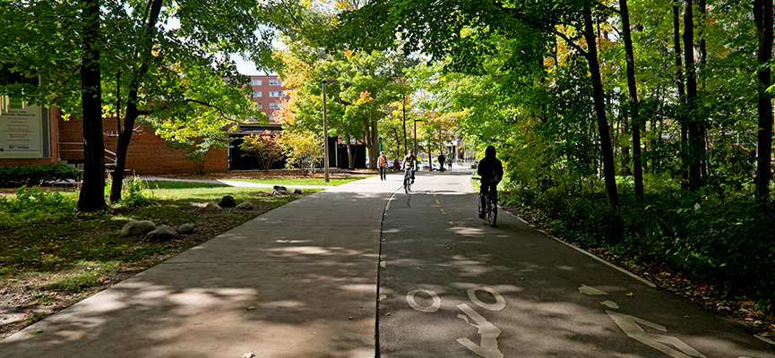Photo of a sidewalk and bike path passing through a wooded area