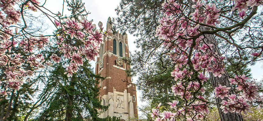 Photo of Beaumont Tower seen through blooming magnolia trees.